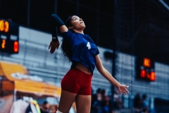 RIV01312