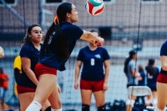 RIV01331