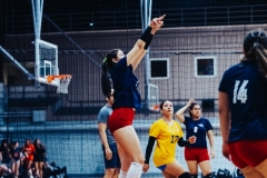 RIV01469
