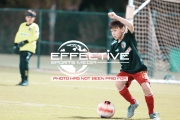 IMG_4663