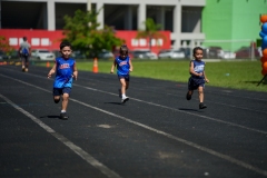 JAL03406